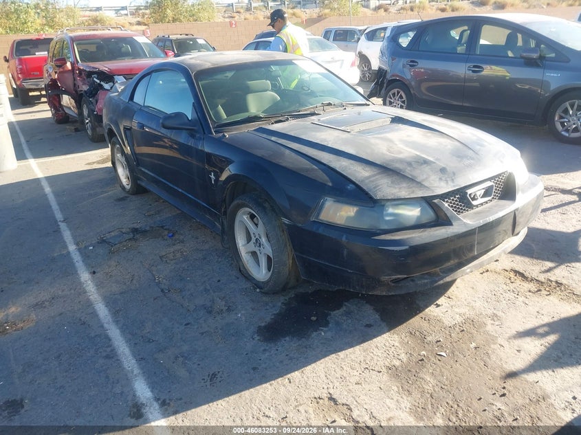Photo of the 2000 FORD MUSTANG
