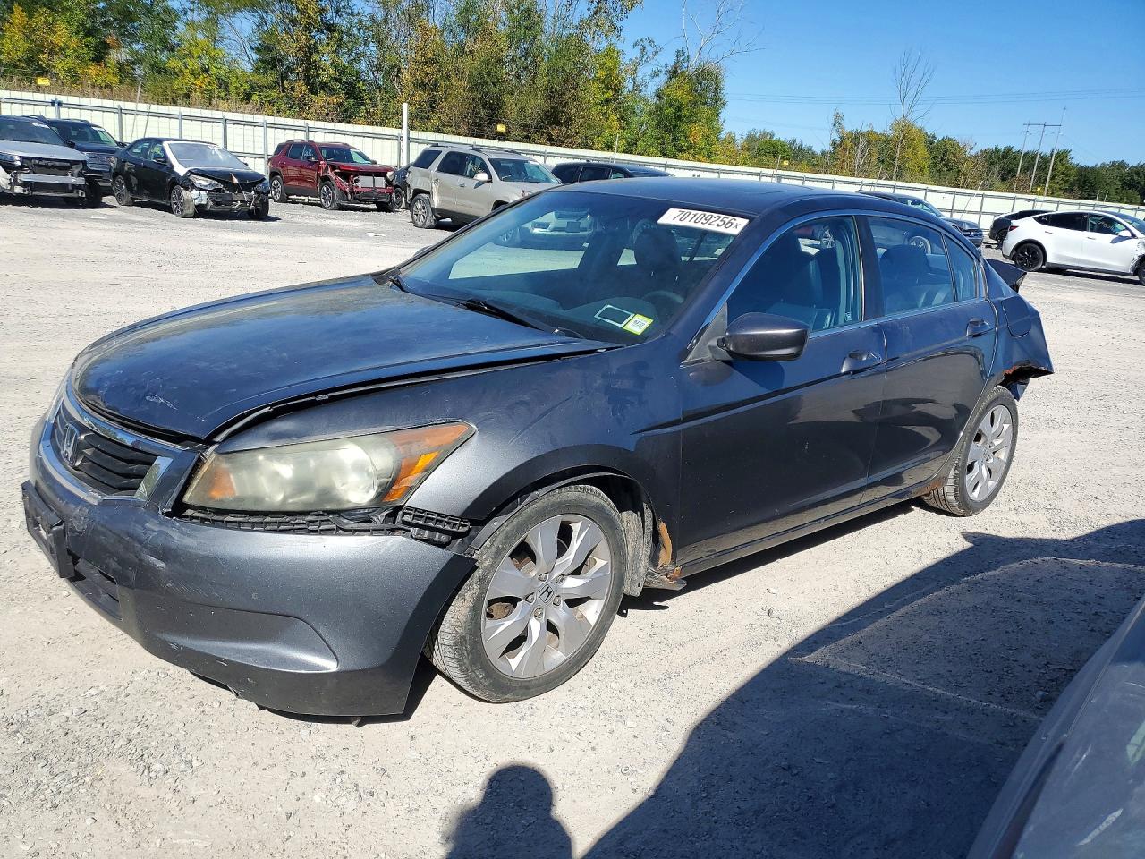 Photo of the 2009 HONDA ACCORD EXL