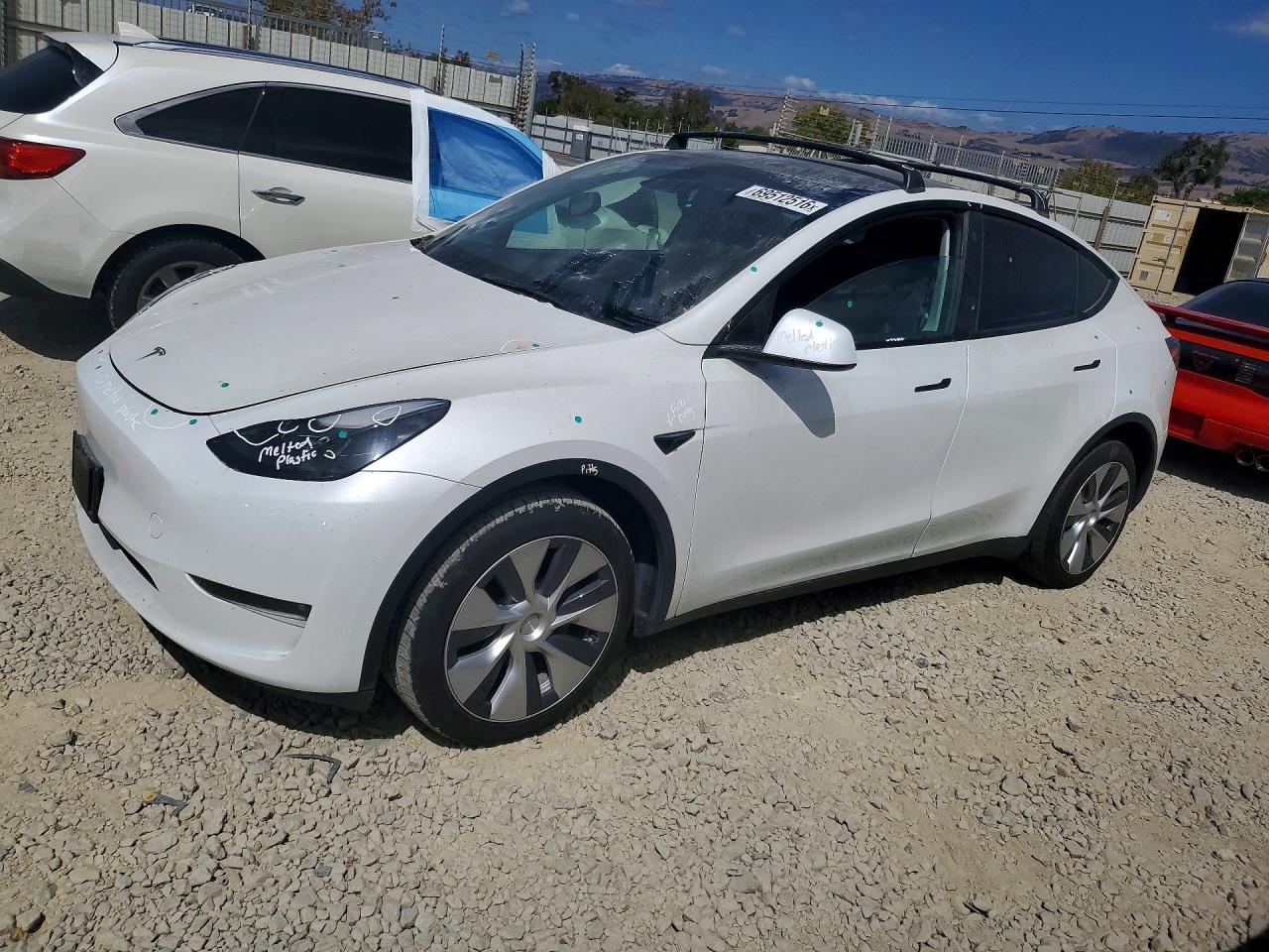 Photo of the 2023 TESLA MODEL Y