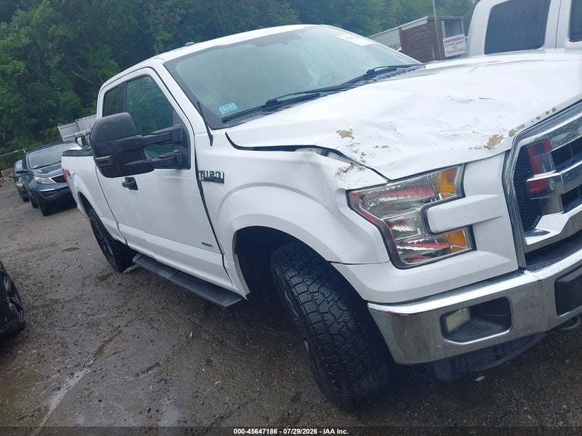 Photo of the 2015 FORD F-150 XLT