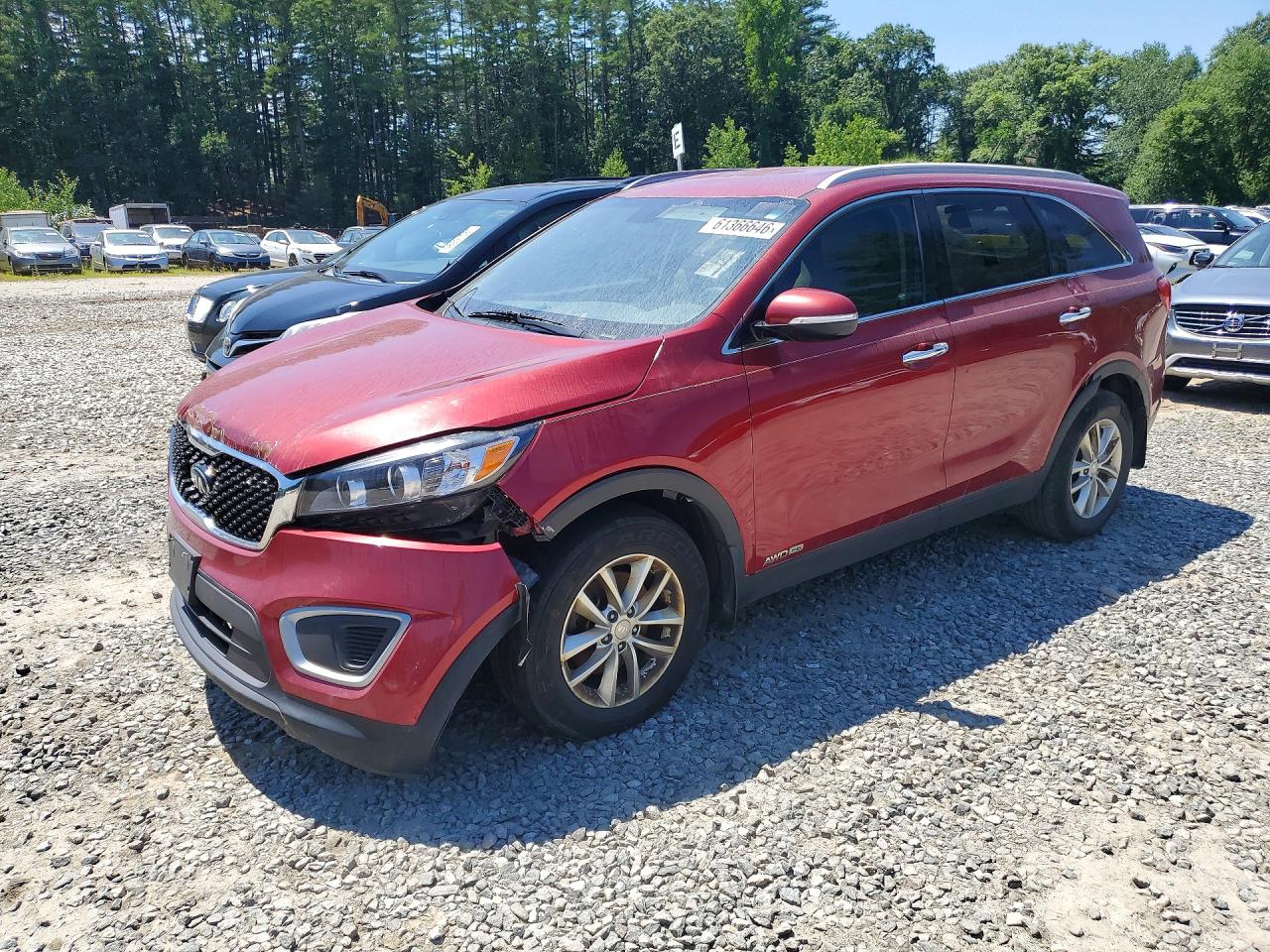 Photo of the 2017 KIA SORENTO LX V6