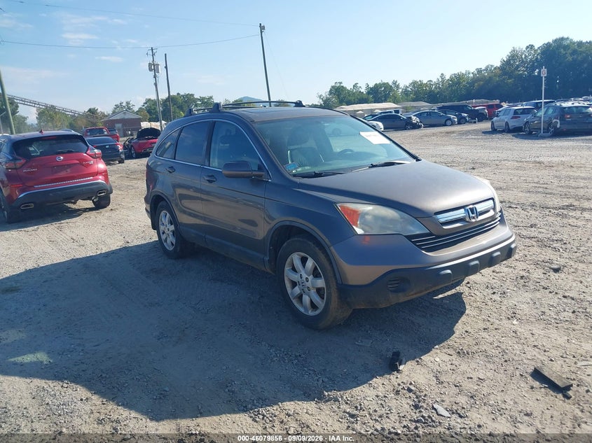 Photo of the 2009 HONDA CR-V EX-L