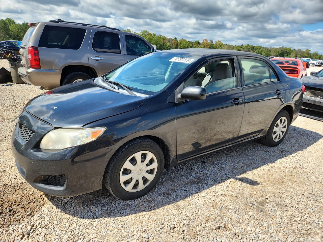 Photo of the 2010 TOYOTA COROLLA LE