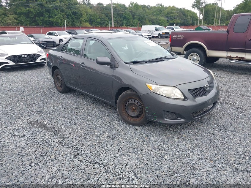 Photo of the 2010 TOYOTA COROLLA LE