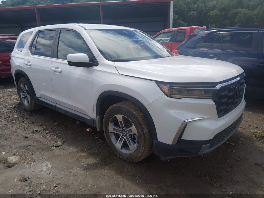 Photo of the 2025 HONDA PILOT EX-L