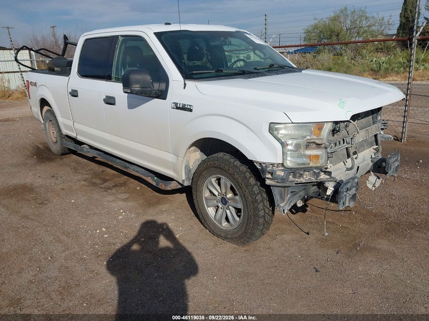 Photo of the 2016 FORD F-150 XLT