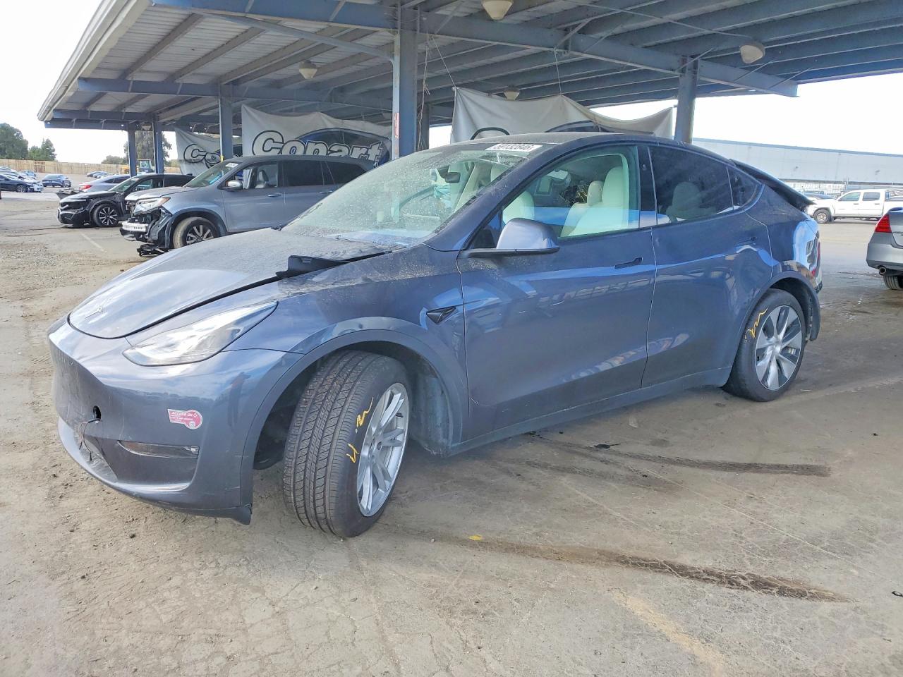 Photo of the 2023 TESLA MODEL Y