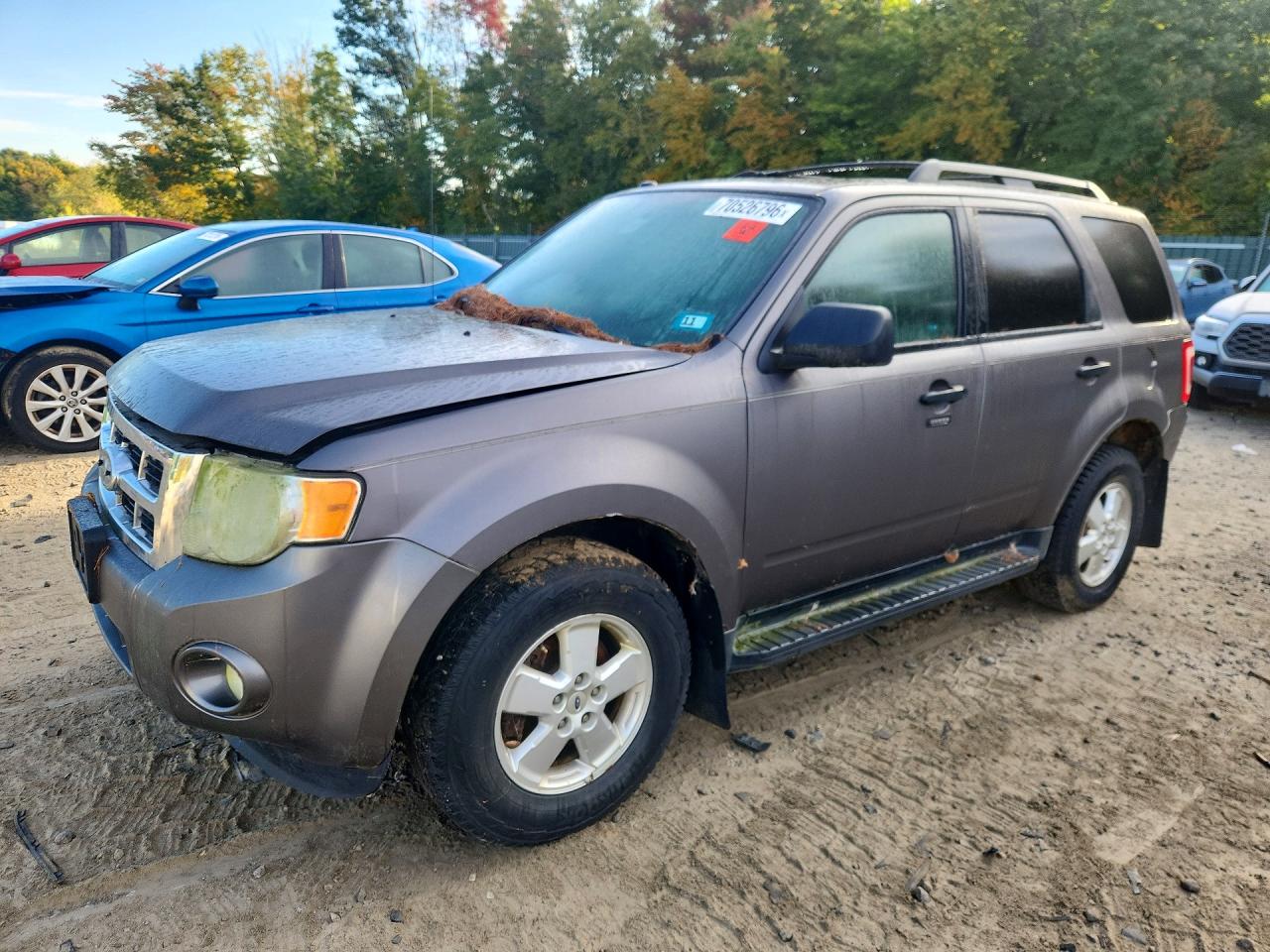 Photo of the 2010 FORD ESCAPE XLT