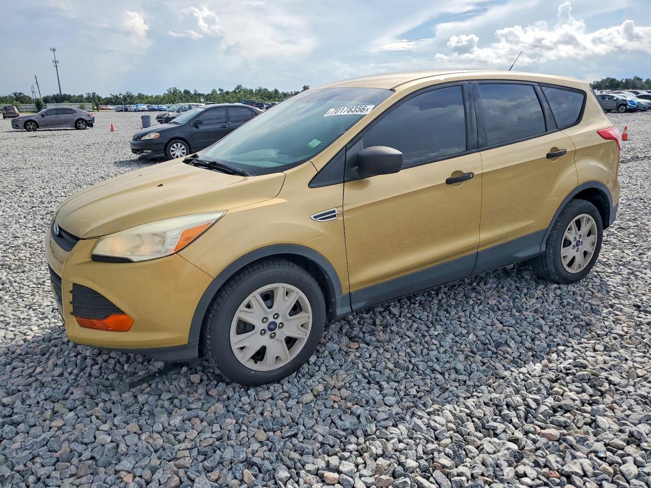 Photo of the 2014 FORD ESCAPE S