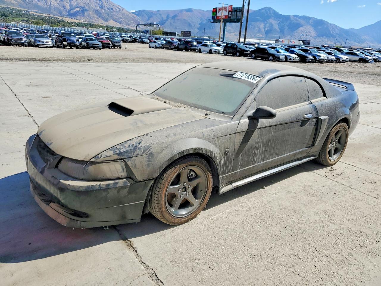 Photo of the 1999 FORD MUSTANG GT