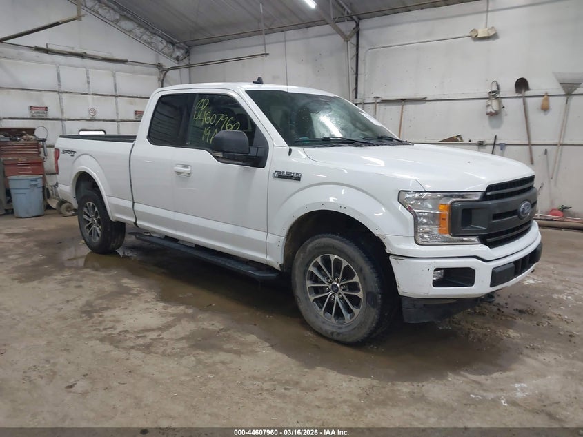 Photo of the 2019 FORD F-150 XLT