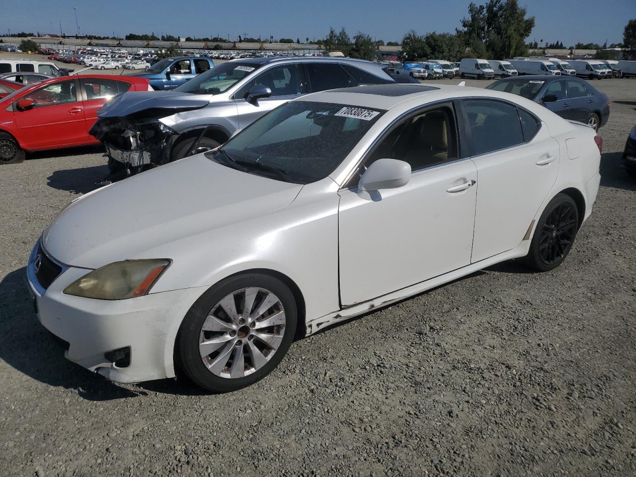 Photo of the 2008 LEXUS IS 250