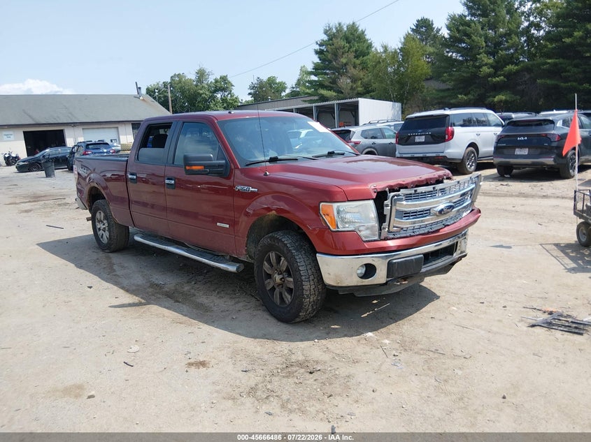 Photo of the 2014 FORD F-150 XLT