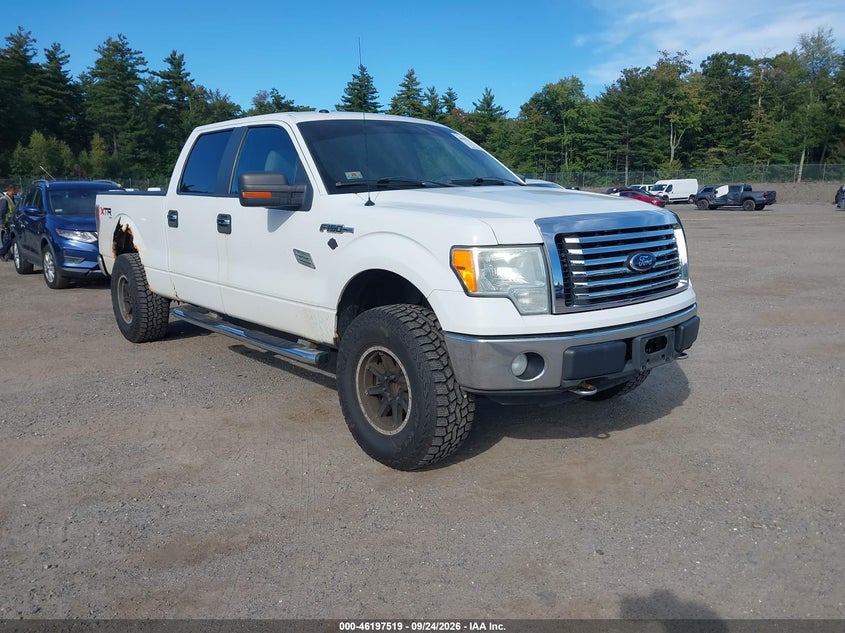 Photo of the 2010 FORD F-150 FX4/HARLEY-DAVIDSON/KING RANCH/LARIAT/PLATINUM/XL/XLT