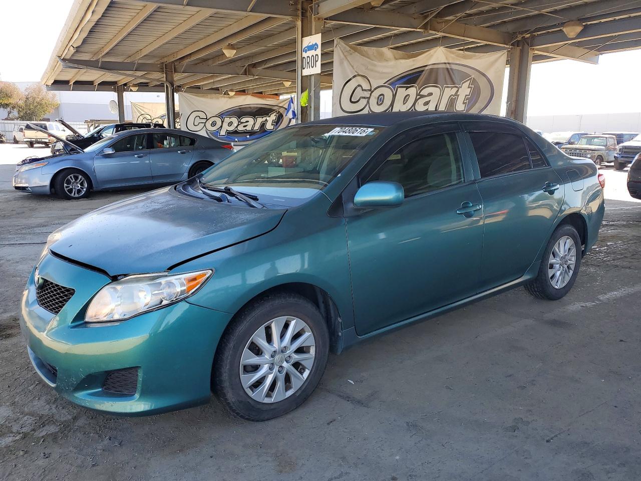 Photo of the 2010 TOYOTA COROLLA LE