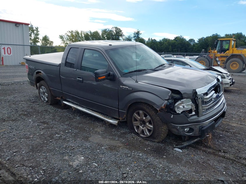 Photo of the 2014 FORD F-150 XLT