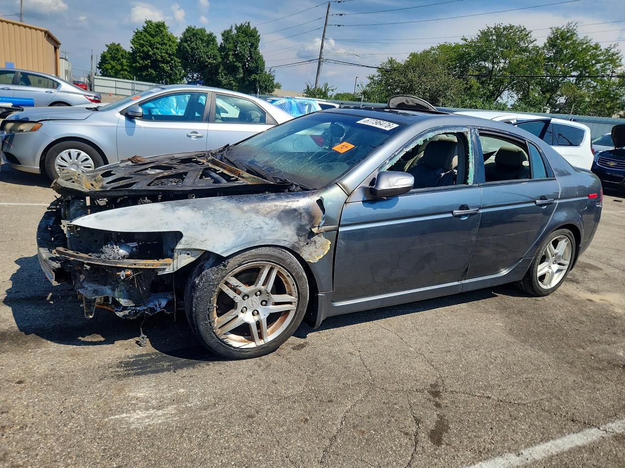 Photo of the 2008 ACURA TL