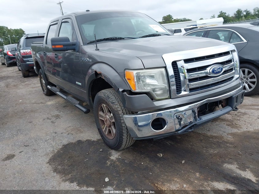 Photo of the 2011 FORD F-150 XLT