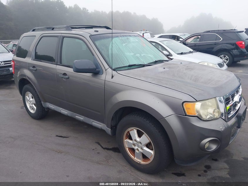 Photo of the 2010 FORD ESCAPE XLT