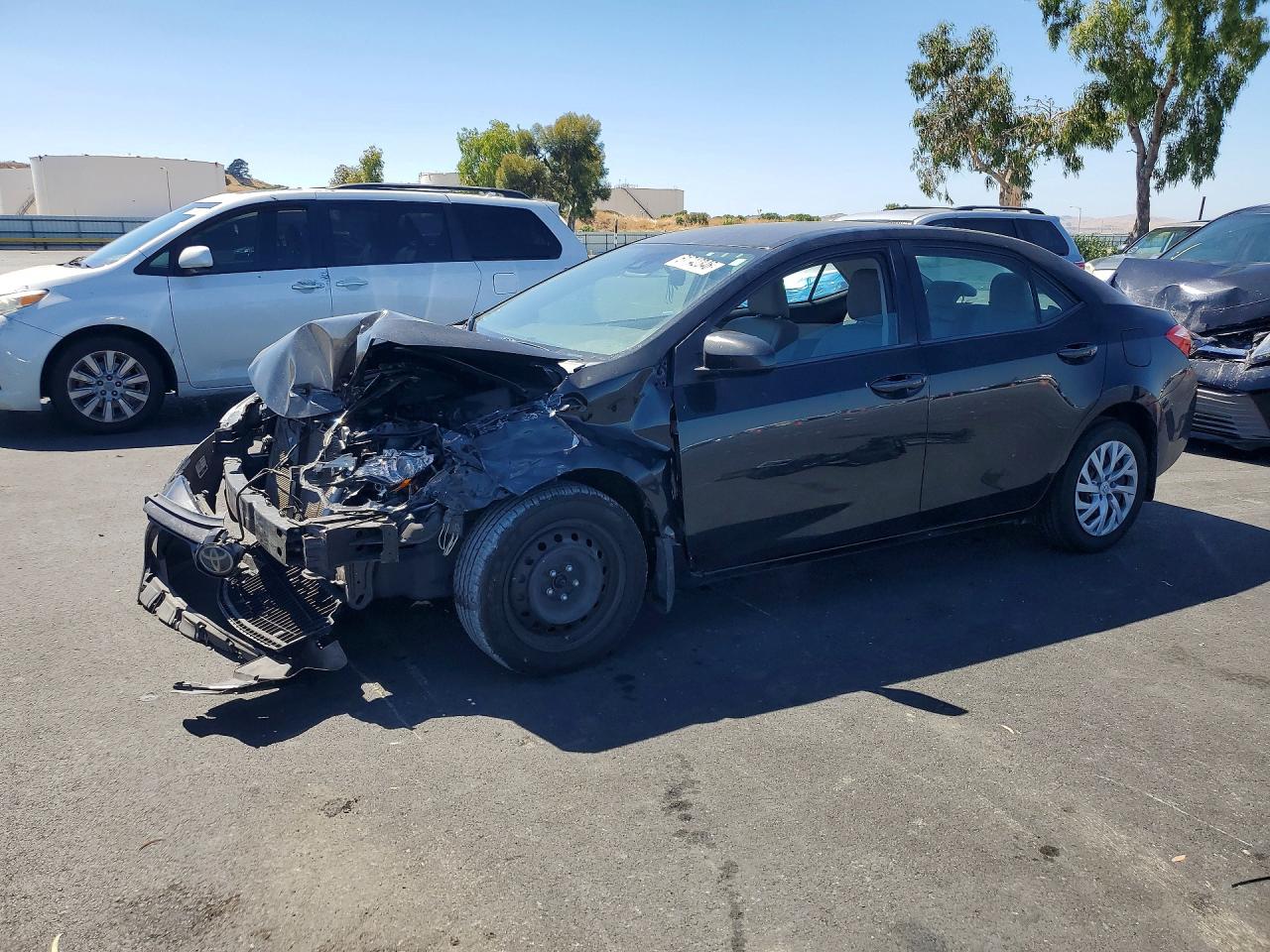 Photo of the 2017 TOYOTA COROLLA LE