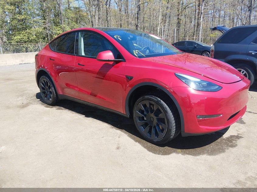 Photo of the 2023 TESLA MODEL Y