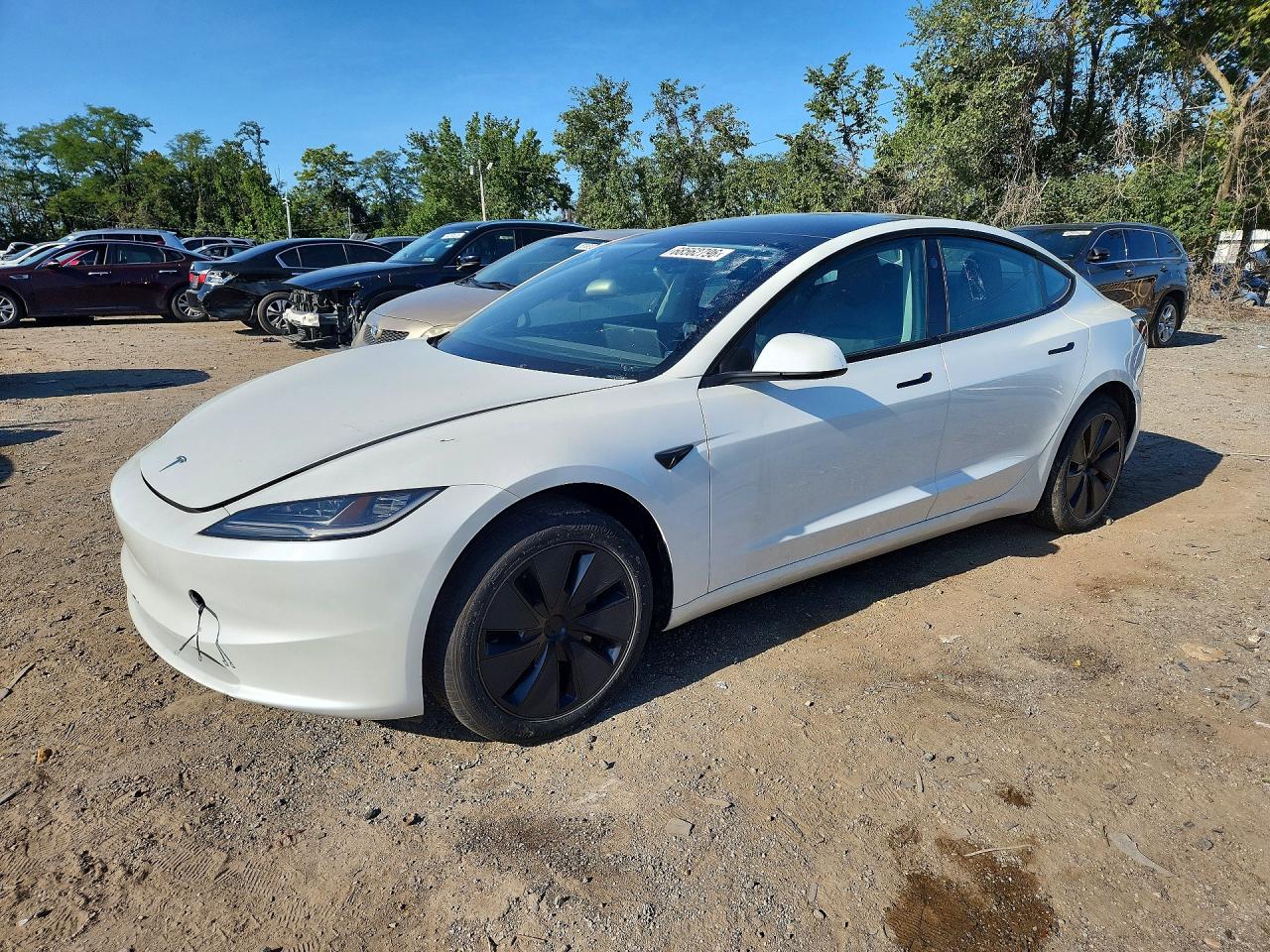 Photo of the 2025 TESLA MODEL 3