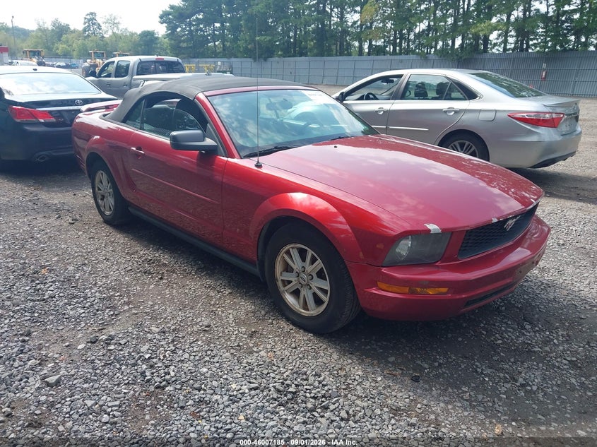 Photo of the 2006 FORD MUSTANG V6