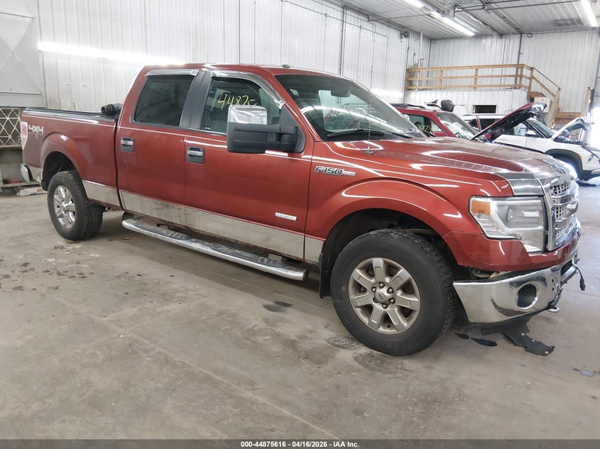 Photo of the 2014 FORD F-150 XLT