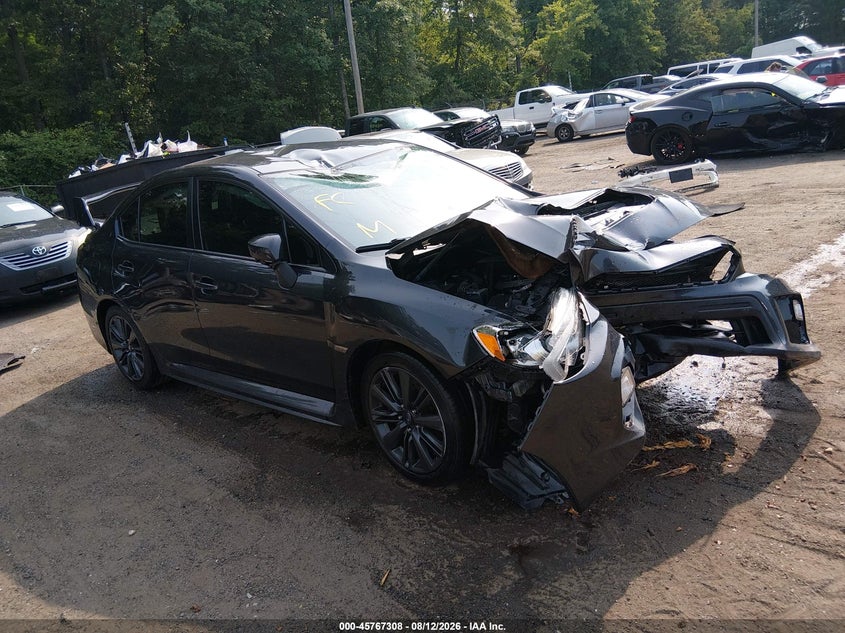 Photo of the 2019 SUBARU WRX