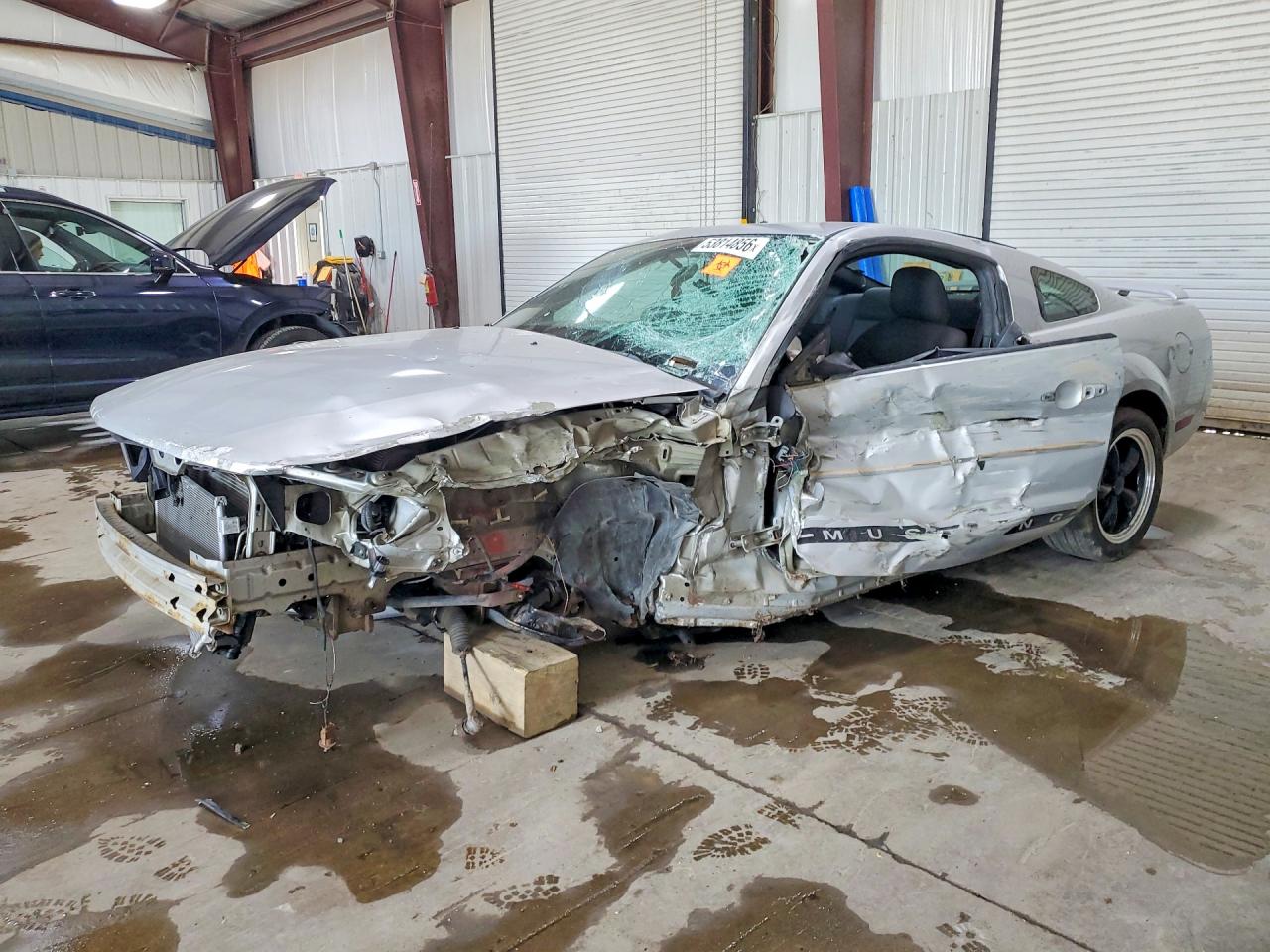 Photo of the 2006 FORD MUSTANG