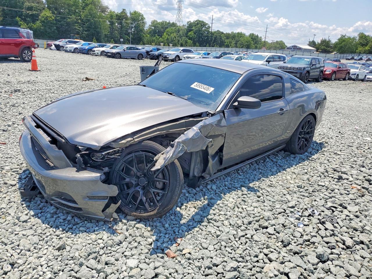 Photo of the 2014 FORD MUSTANG