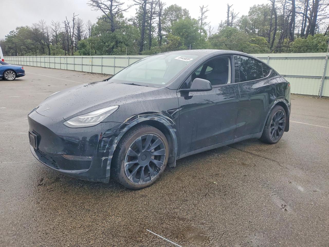Photo of the 2021 TESLA MODEL Y