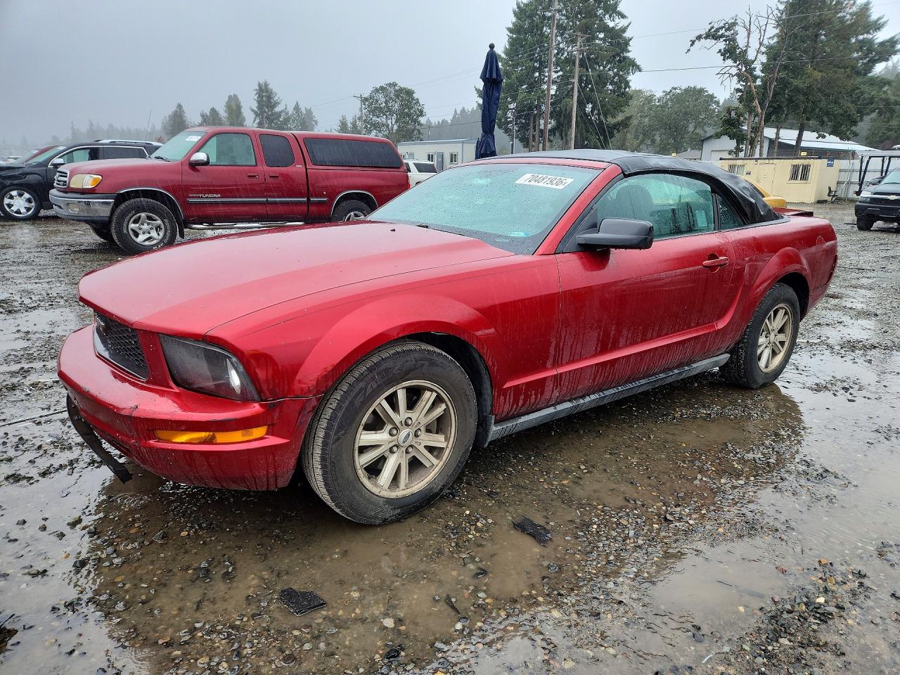 Photo of the 2007 FORD MUSTANG