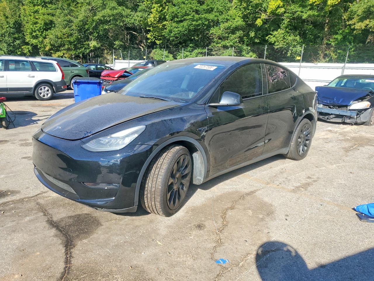 Photo of the 2021 TESLA MODEL Y