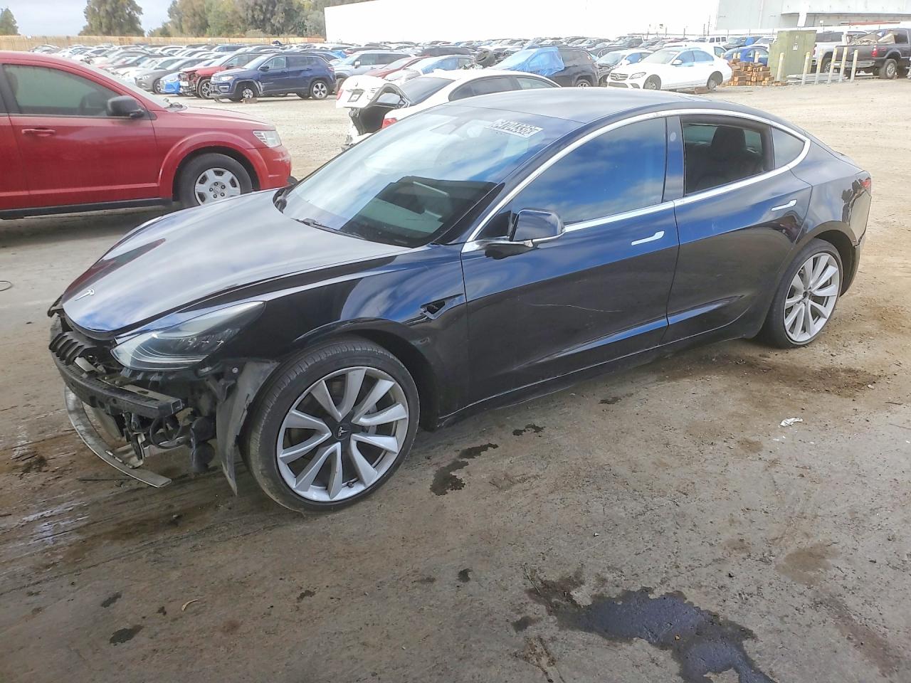 Photo of the 2019 TESLA MODEL 3