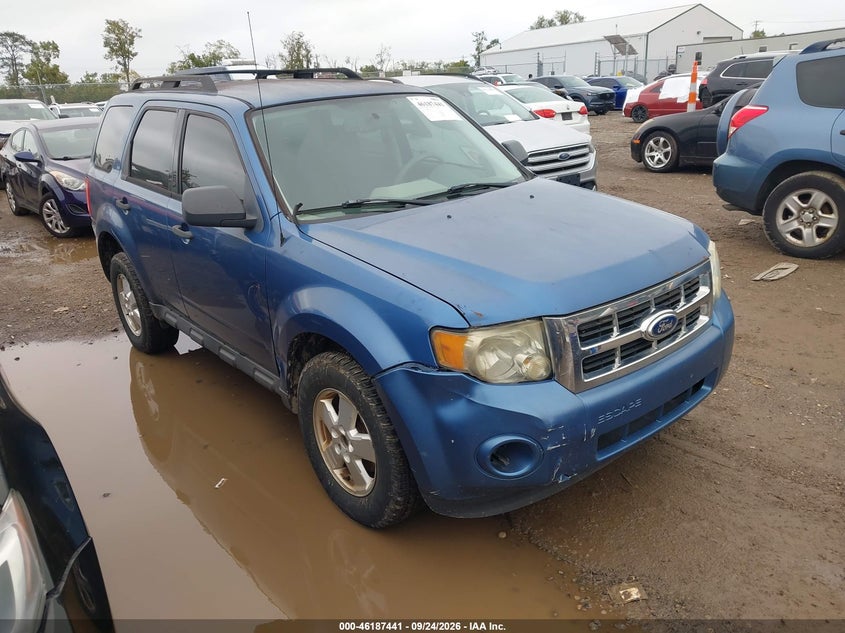 Photo of the 2010 FORD ESCAPE XLS