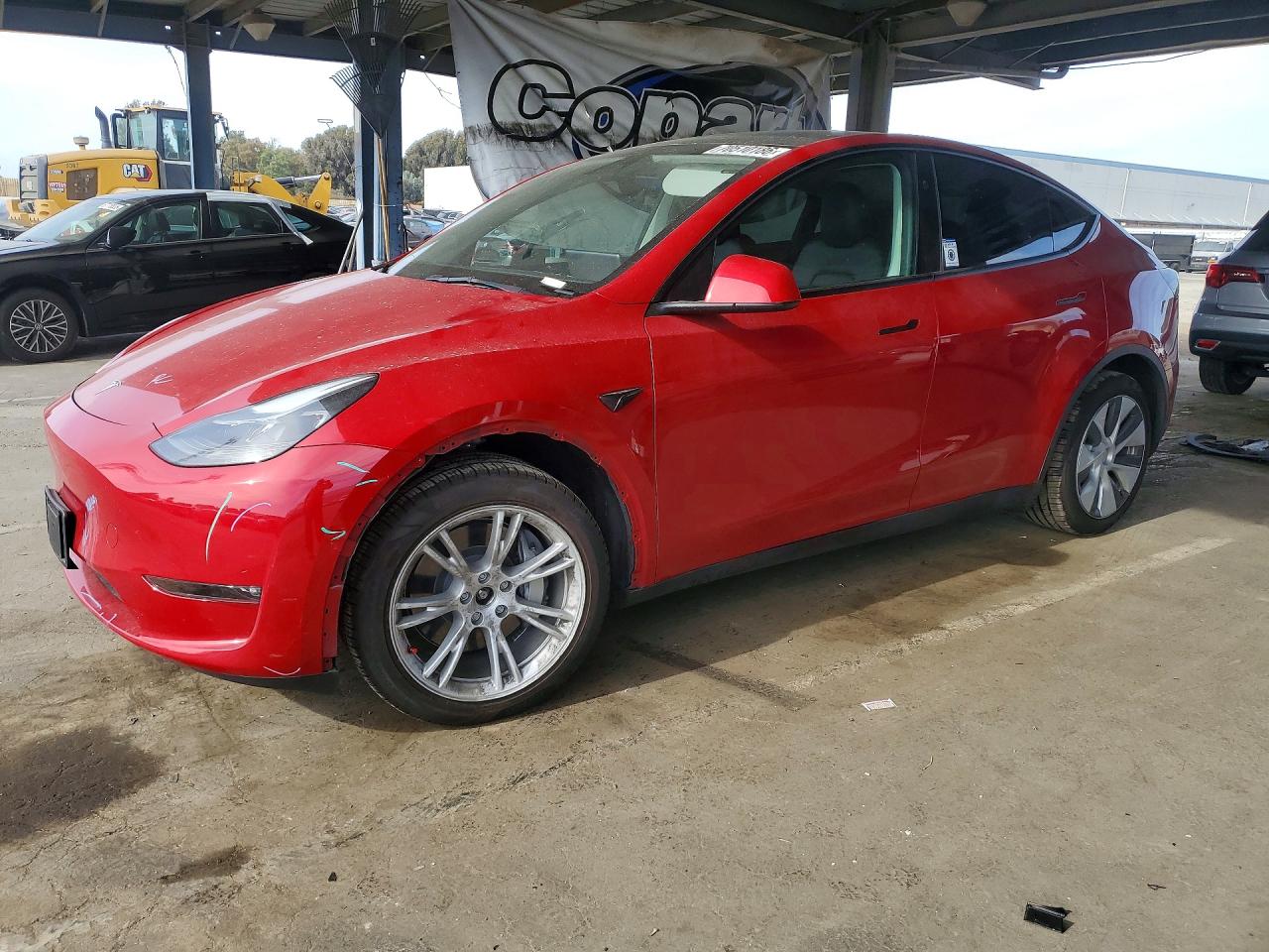 Photo of the 2023 TESLA MODEL Y