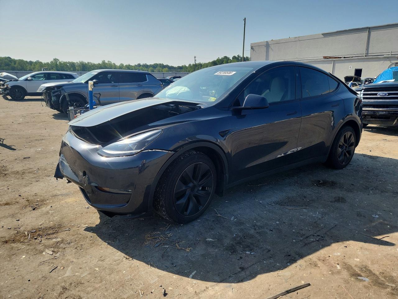 Photo of the 2025 TESLA MODEL Y