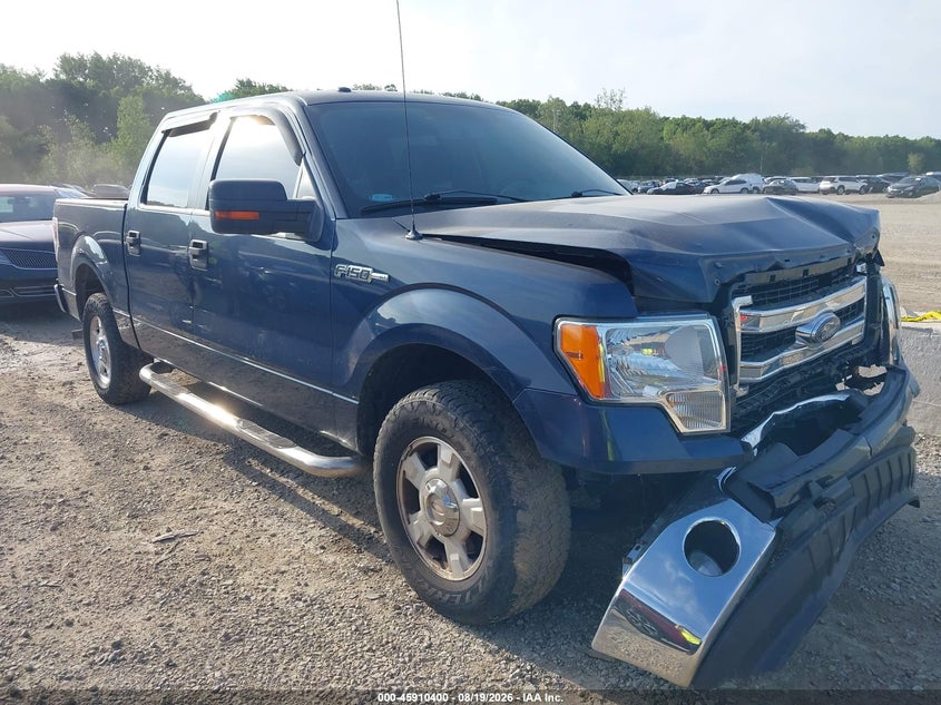 Photo of the 2013 FORD F-150 XLT
