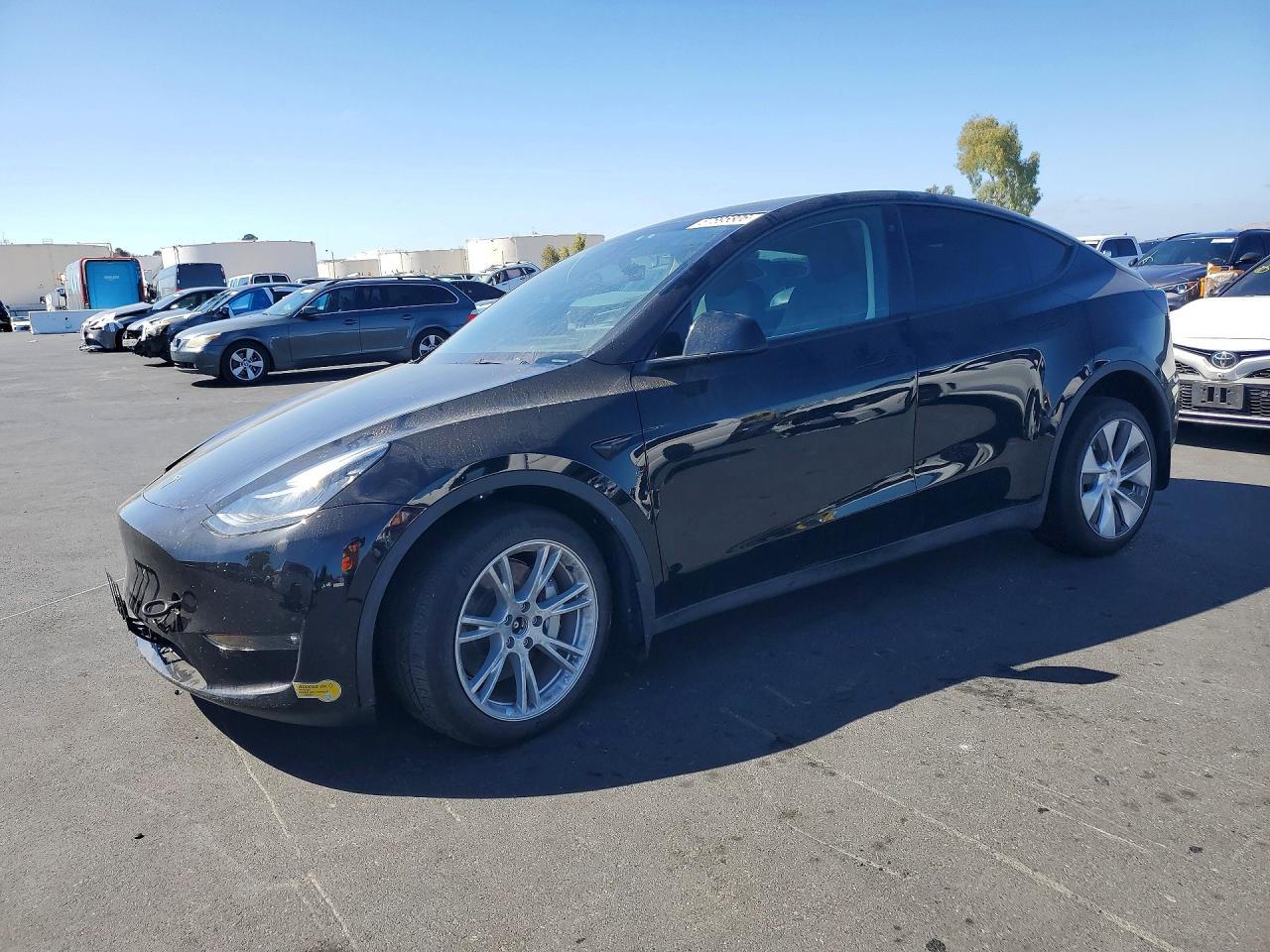 Photo of the 2023 TESLA MODEL Y