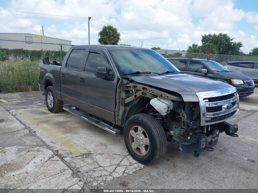 Photo of the 2013 FORD F-150 XLT