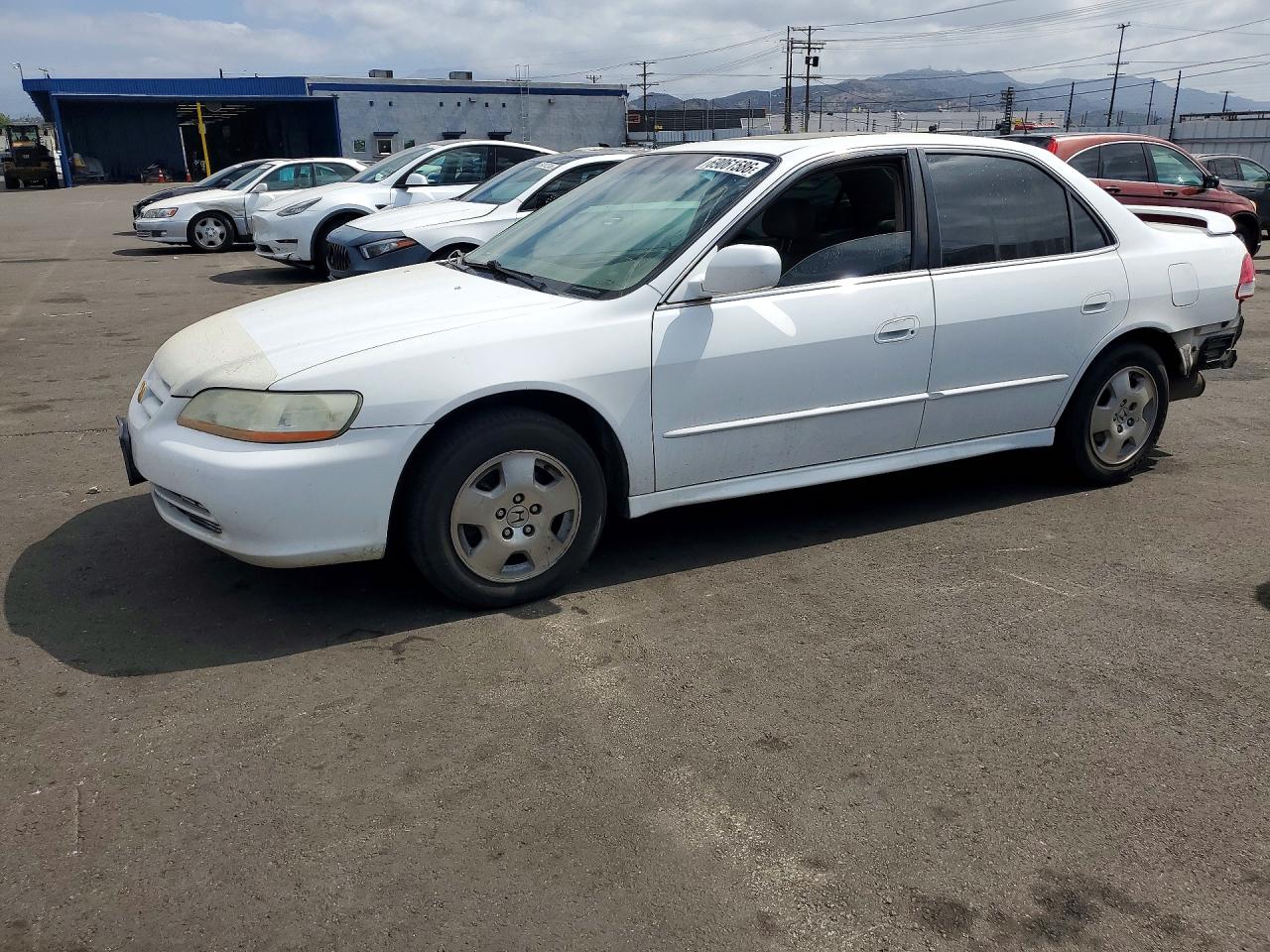 Photo of the 2002 HONDA ACCORD EX