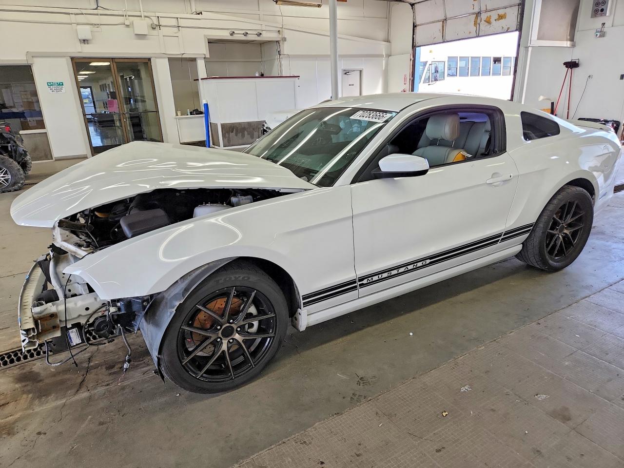 Photo of the 2014 FORD MUSTANG