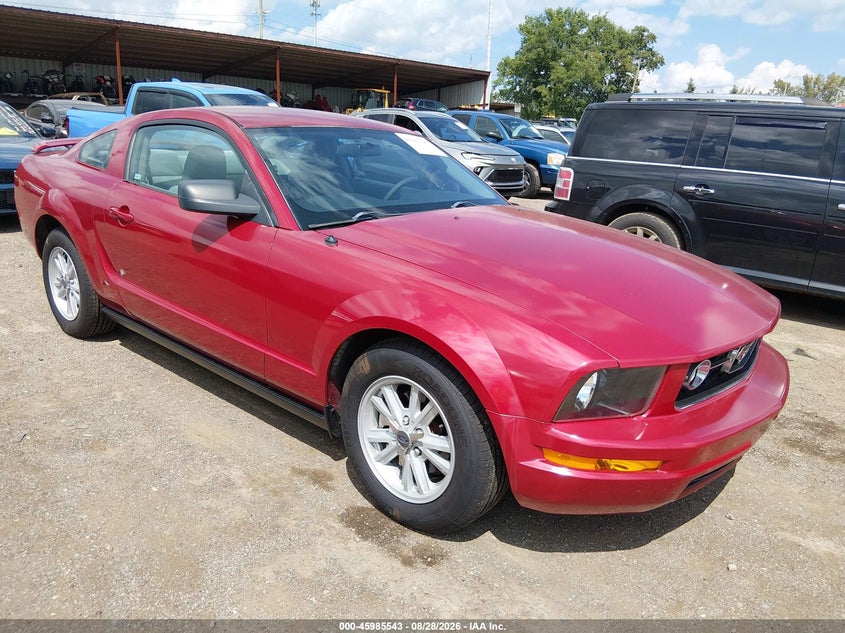 Photo of the 2006 FORD MUSTANG V6