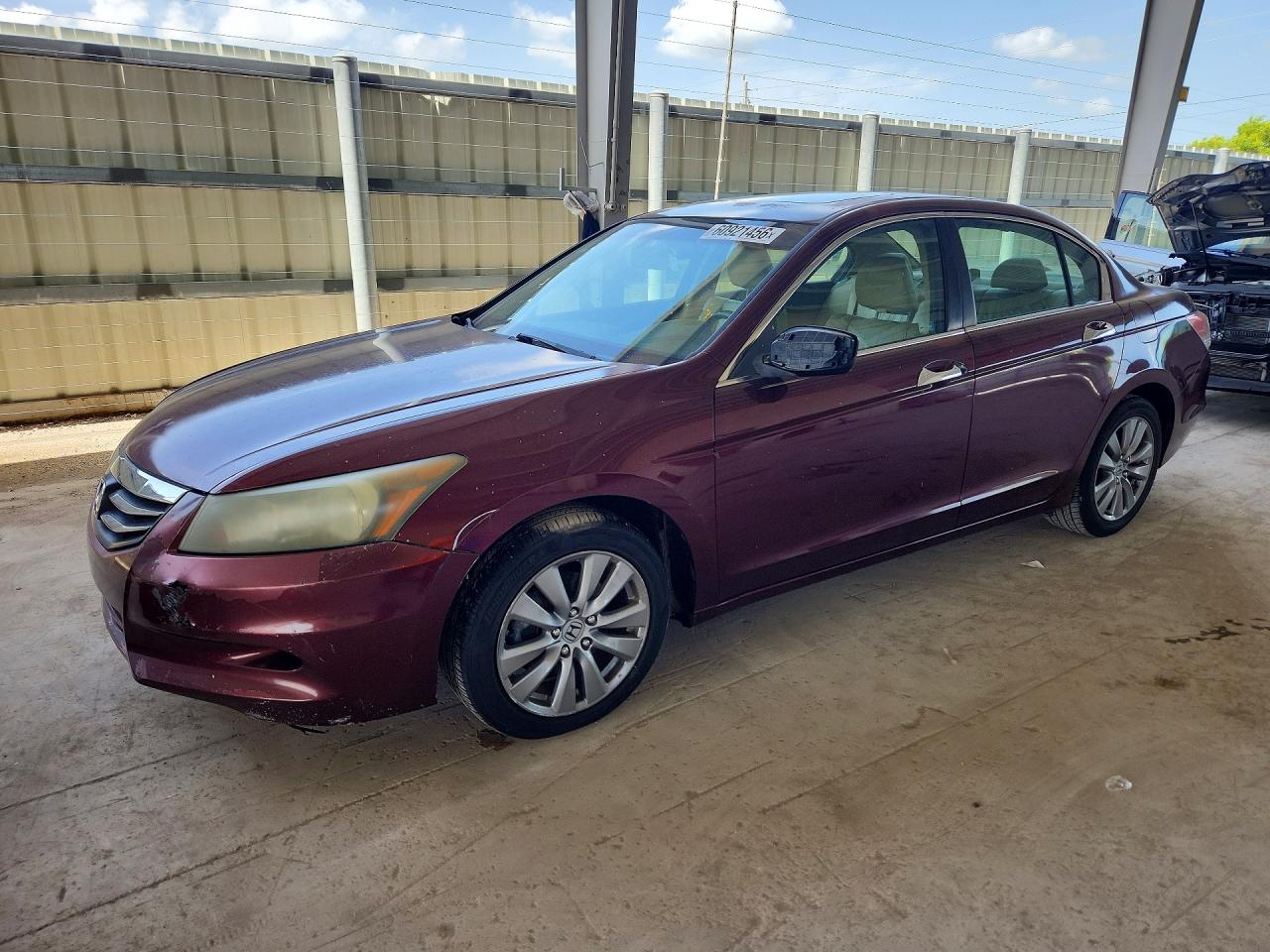 Photo of the 2011 HONDA ACCORD EXL