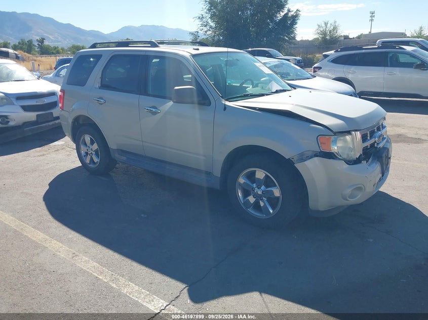 Photo of the 2009 FORD ESCAPE XLT